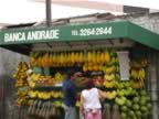 Brazilian Fruit Stand